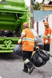 Junk Removal